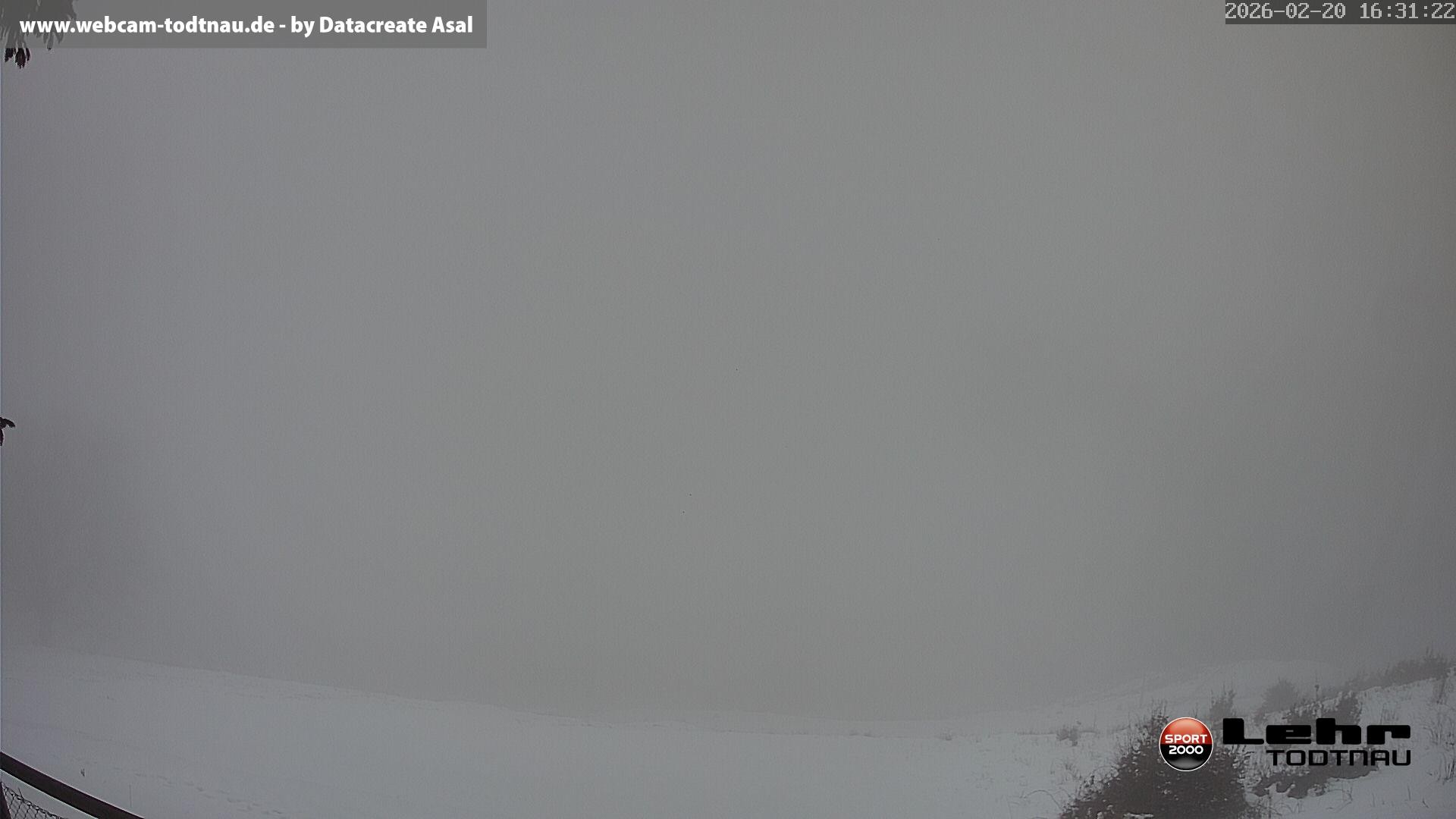 Archiv Foto Webcam Todtnau: Rodelbahn Hasenhorn