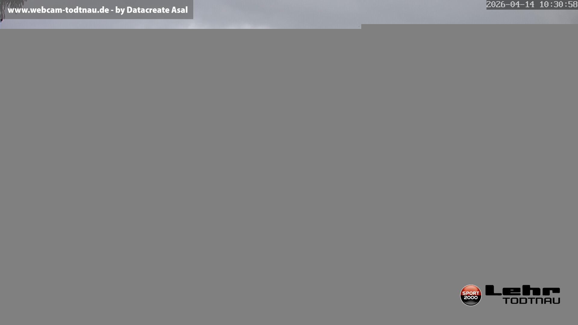 Archiv Foto Webcam Todtnau: Rodelbahn Hasenhorn