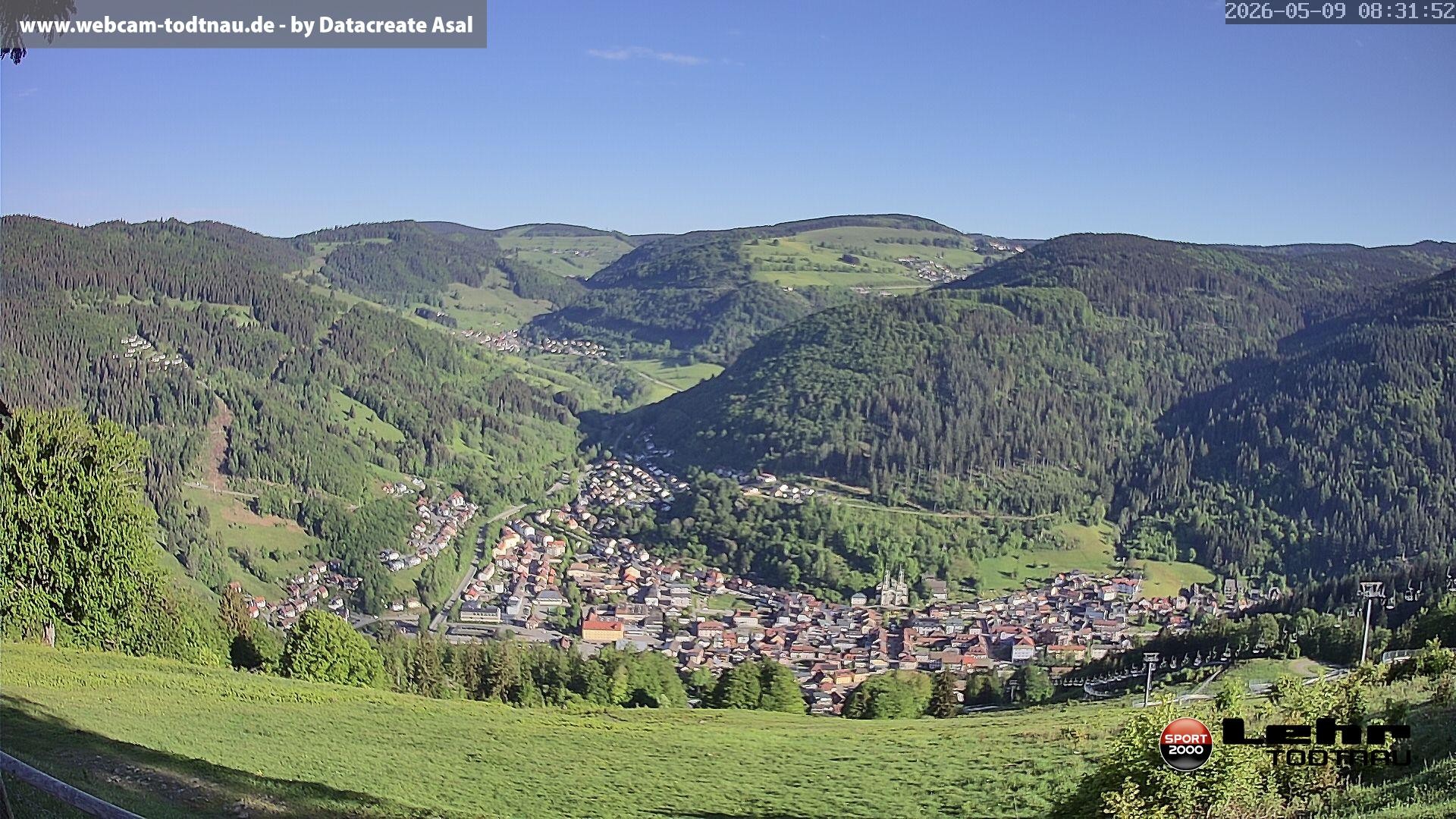 Archiv Foto Webcam Todtnau: Rodelbahn Hasenhorn