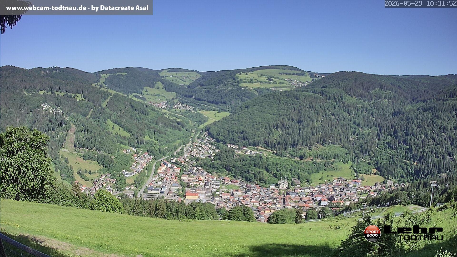 Archiv Foto Webcam Todtnau: Rodelbahn Hasenhorn