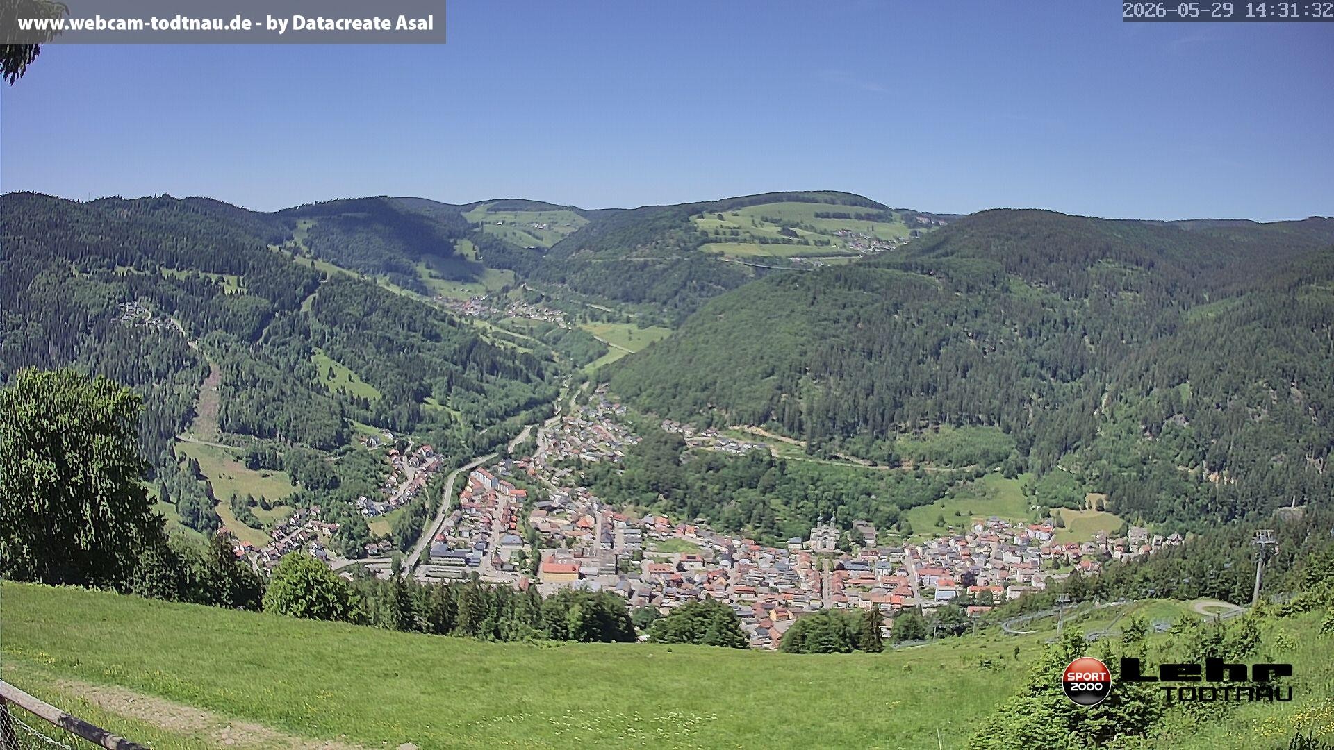 Archiv Foto Webcam Todtnau: Rodelbahn Hasenhorn