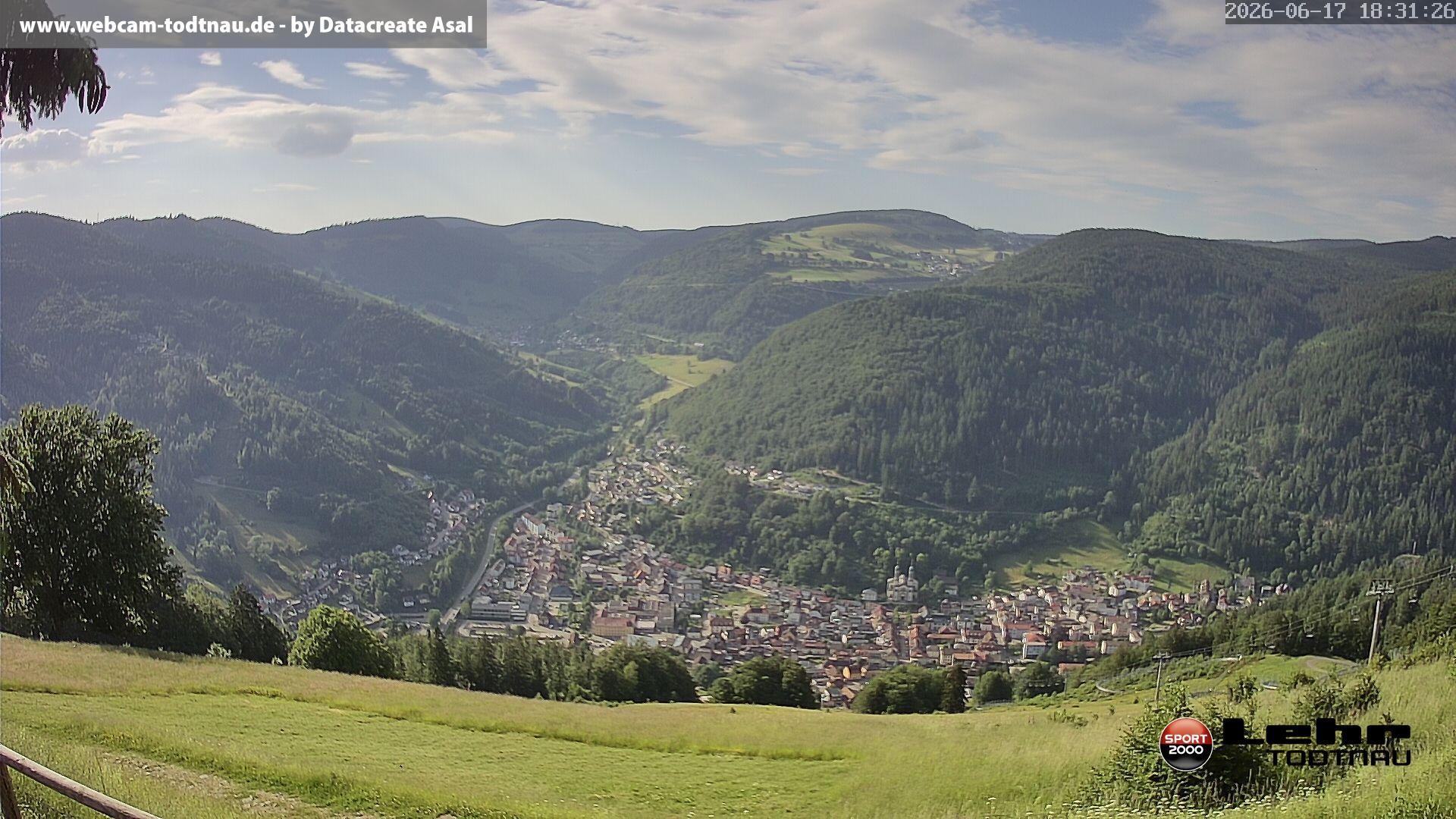 Archiv Foto Webcam Todtnau: Rodelbahn Hasenhorn