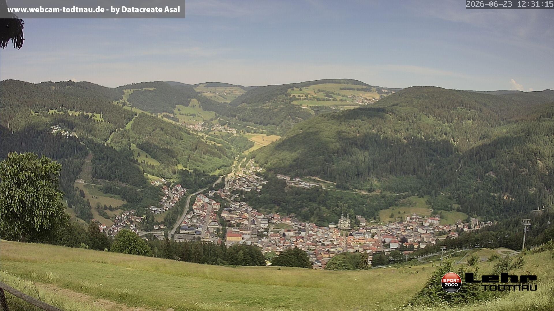 Archiv Foto Webcam Todtnau: Rodelbahn Hasenhorn