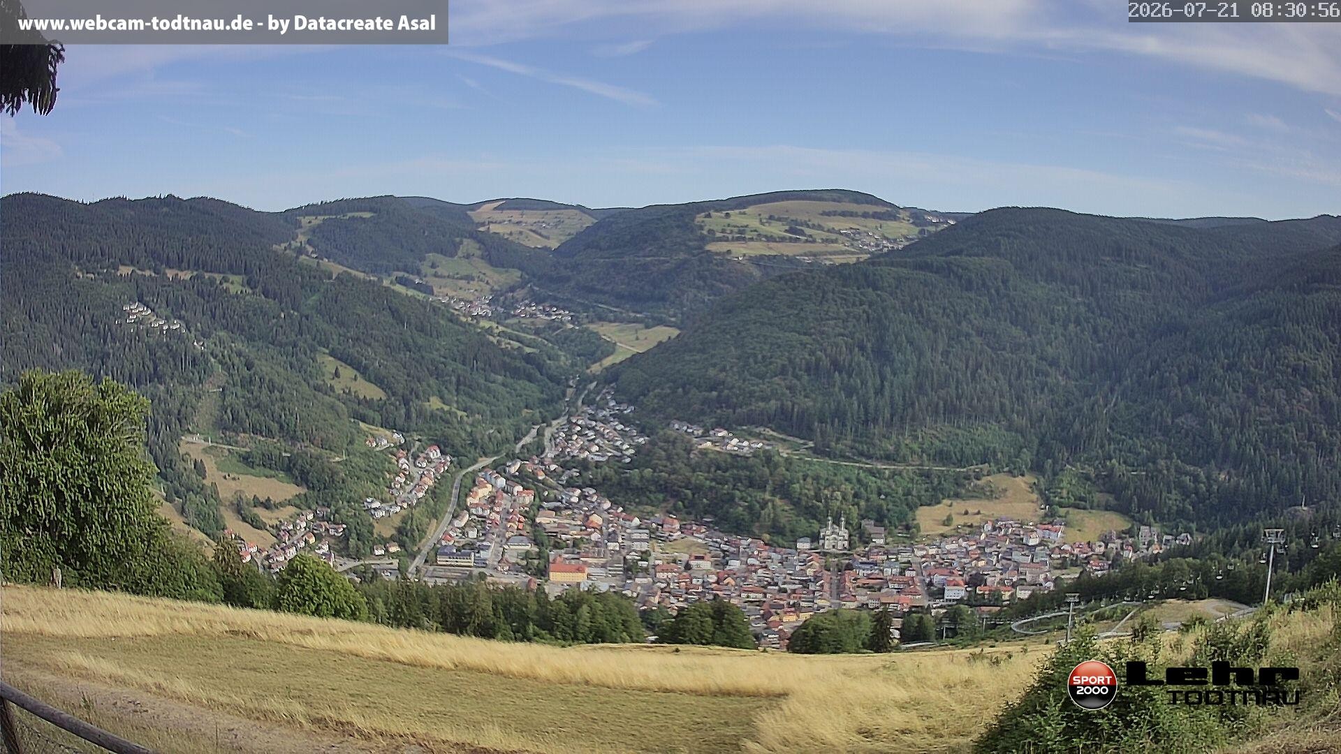 Archiv Foto Webcam Todtnau: Rodelbahn Hasenhorn