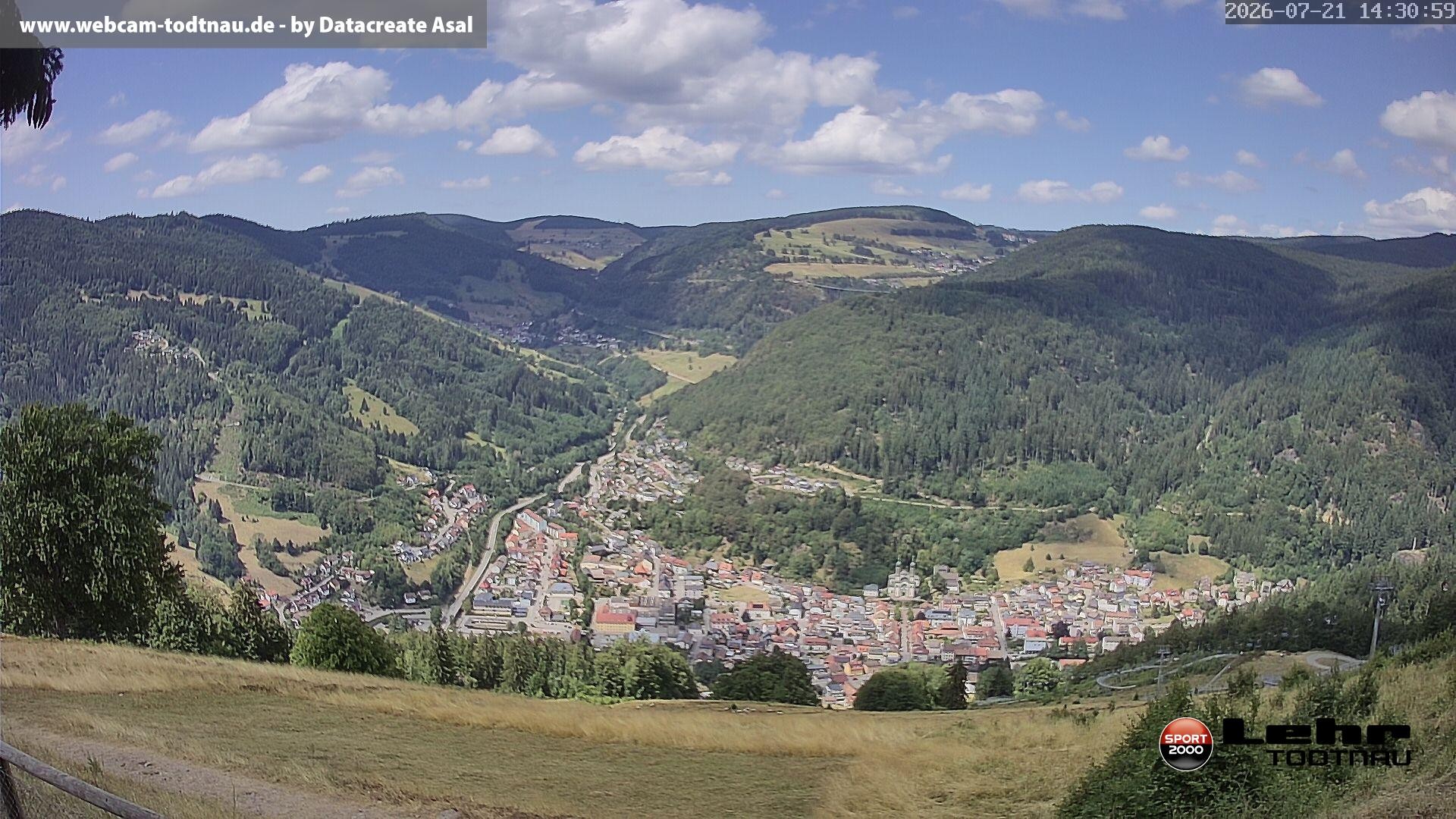 Archiv Foto Webcam Todtnau: Rodelbahn Hasenhorn