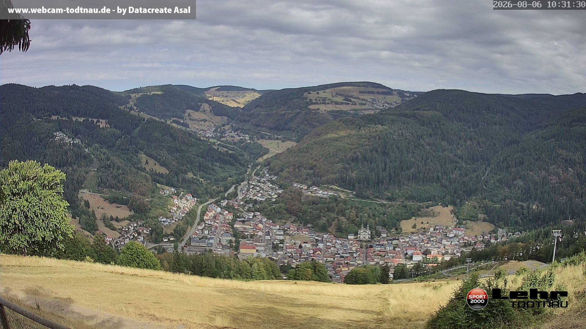 Archiv Foto Webcam Todtnau: Rodelbahn Hasenhorn