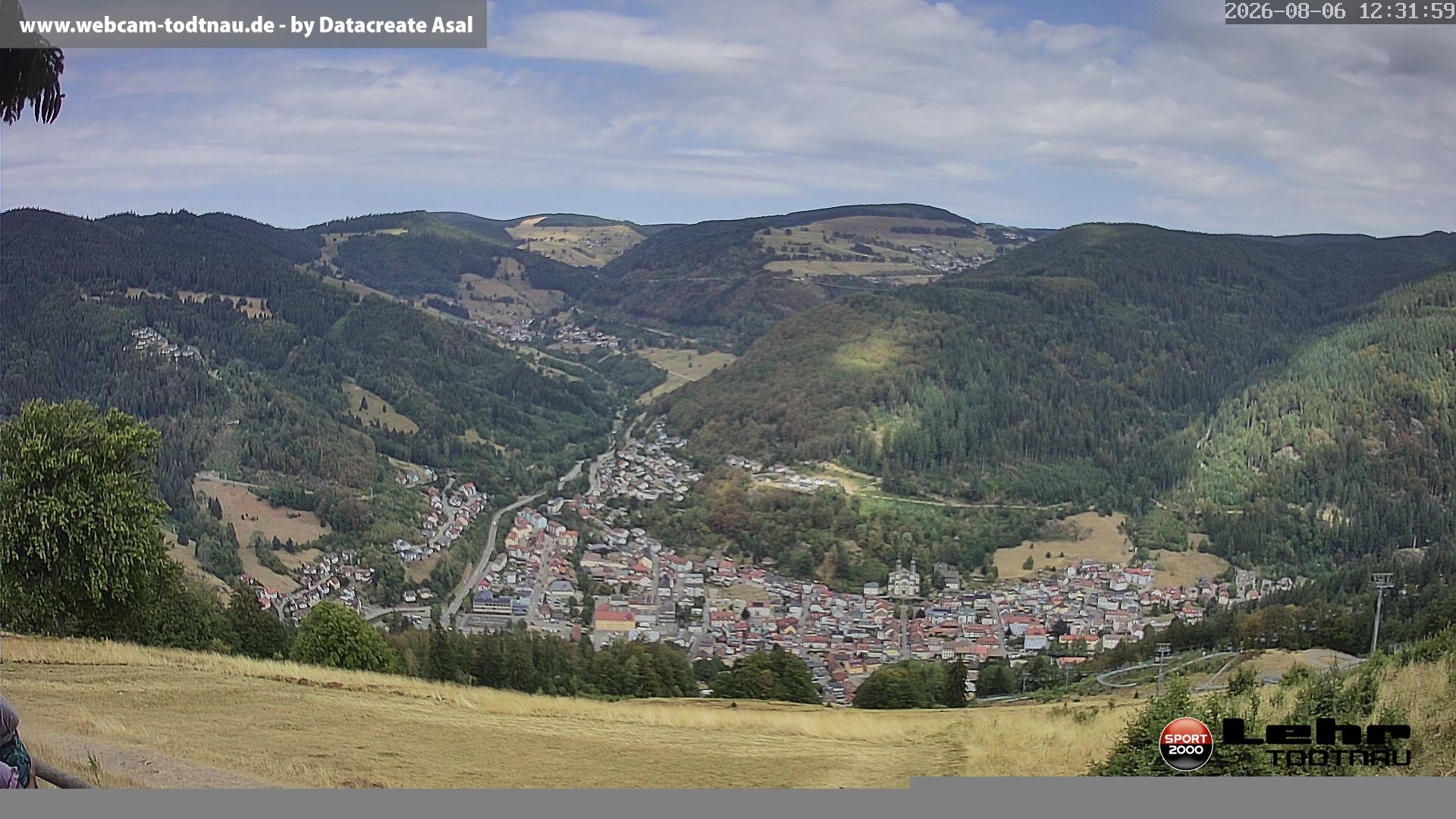 Archiv Foto Webcam Todtnau: Rodelbahn Hasenhorn
