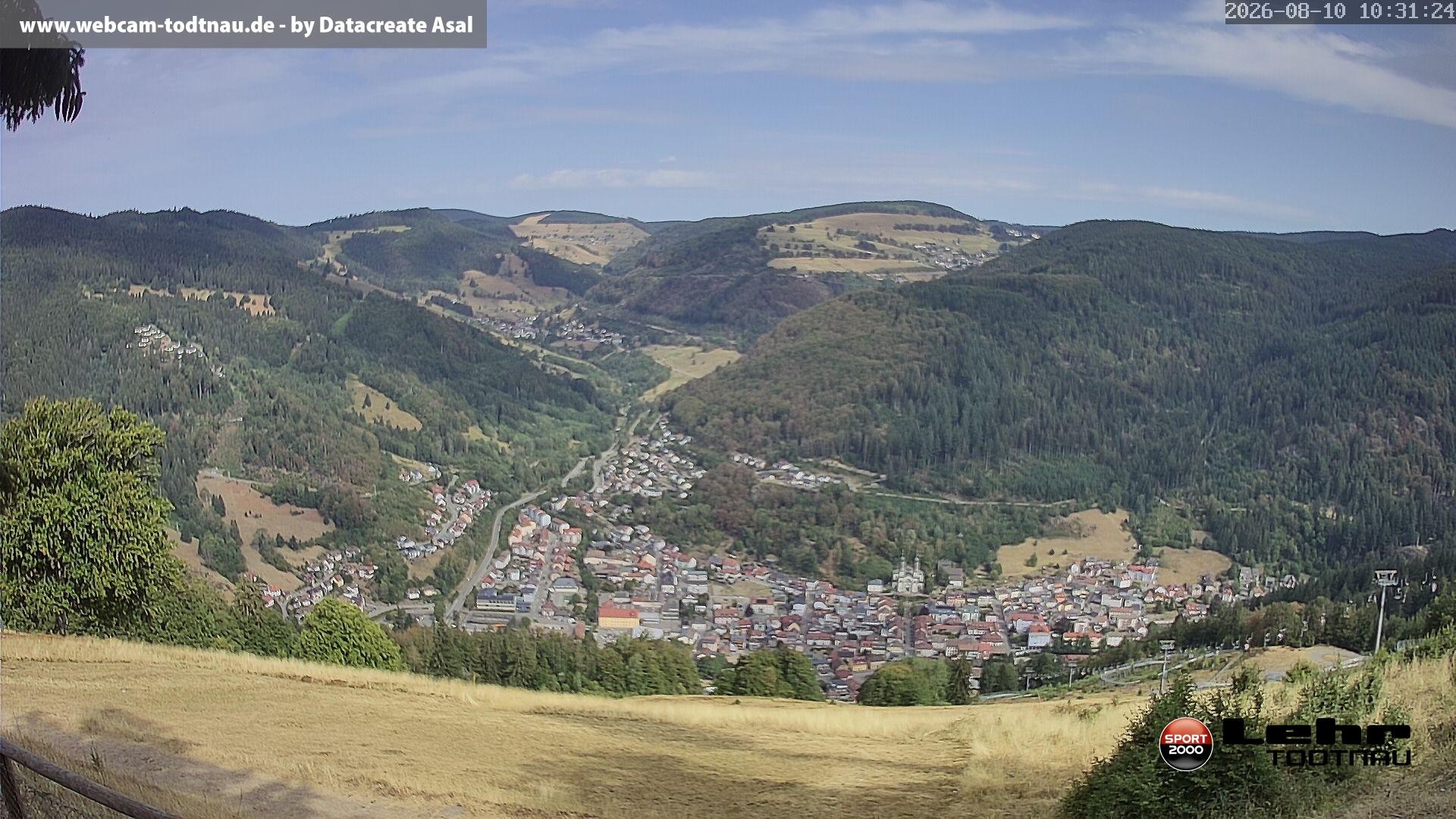 Archiv Foto Webcam Todtnau: Rodelbahn Hasenhorn