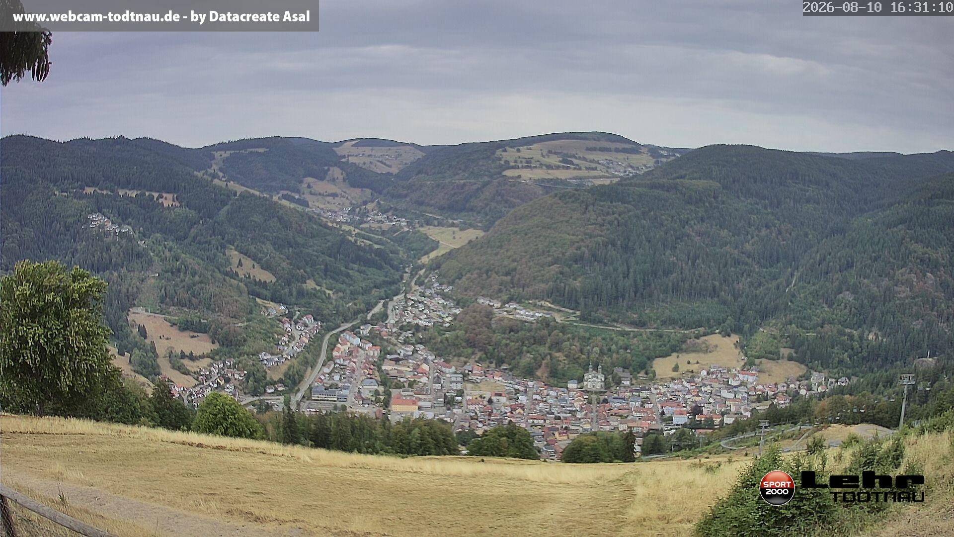 Archiv Foto Webcam Todtnau: Rodelbahn Hasenhorn