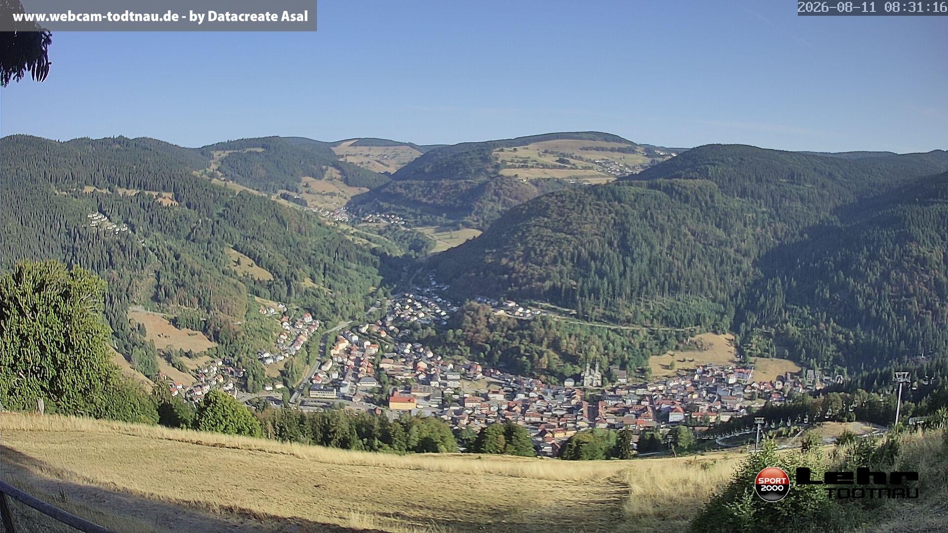 Archiv Foto Webcam Todtnau: Rodelbahn Hasenhorn