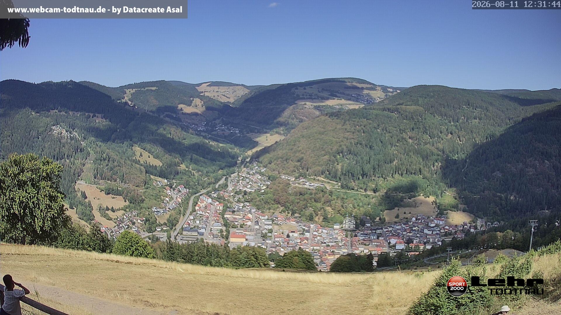 Archiv Foto Webcam Todtnau: Rodelbahn Hasenhorn