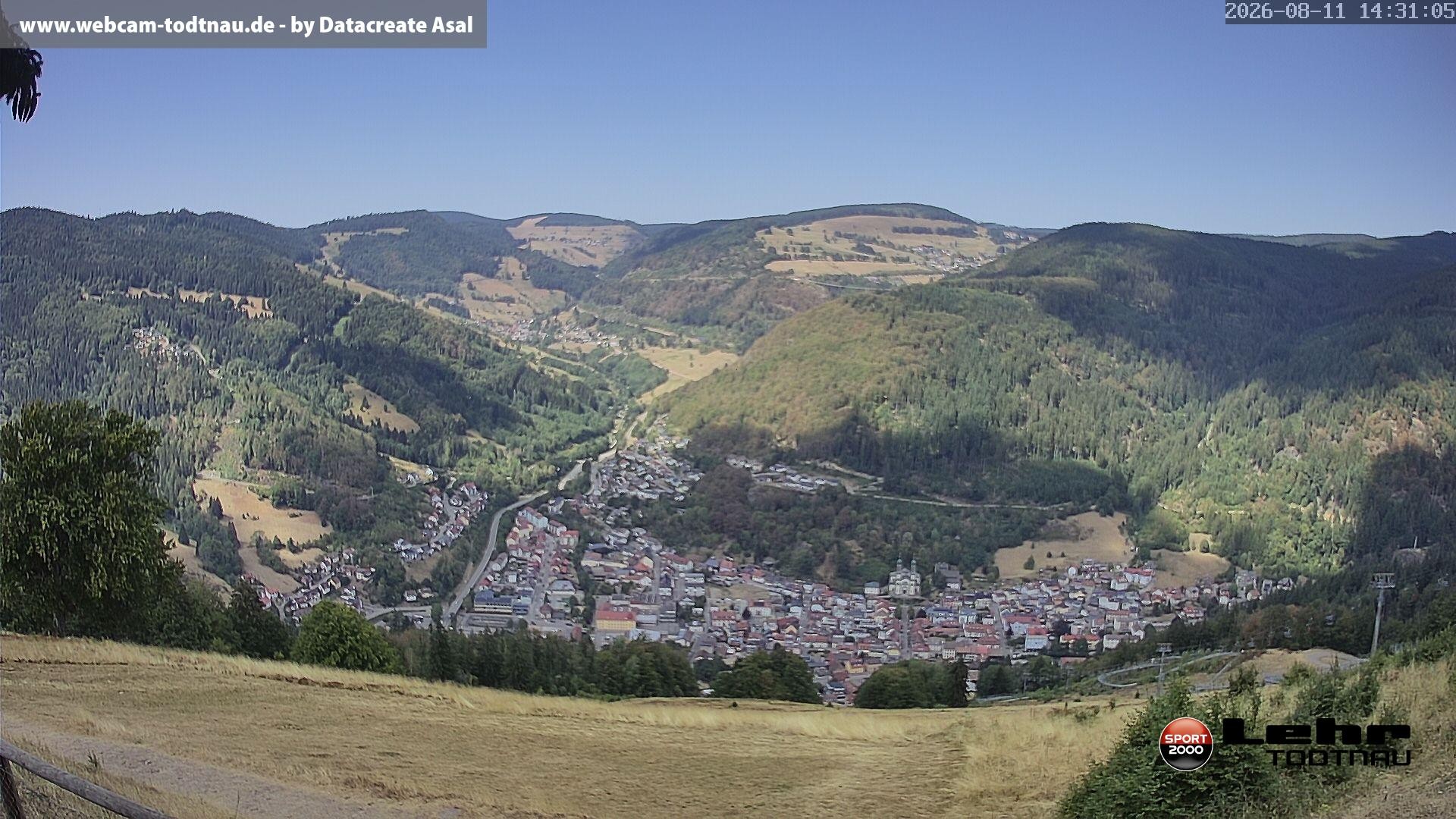 Archiv Foto Webcam Todtnau: Rodelbahn Hasenhorn