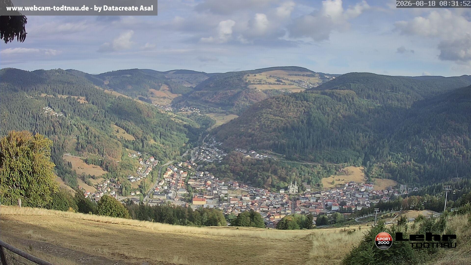 Archiv Foto Webcam Todtnau: Rodelbahn Hasenhorn