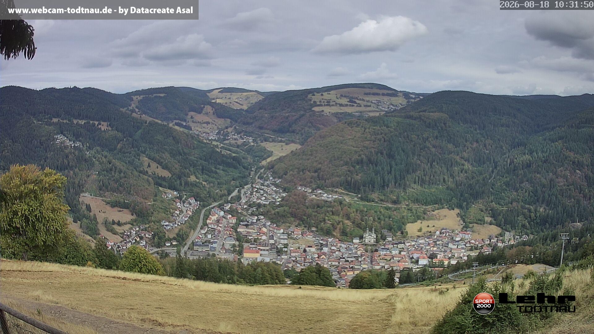 Archiv Foto Webcam Todtnau: Rodelbahn Hasenhorn