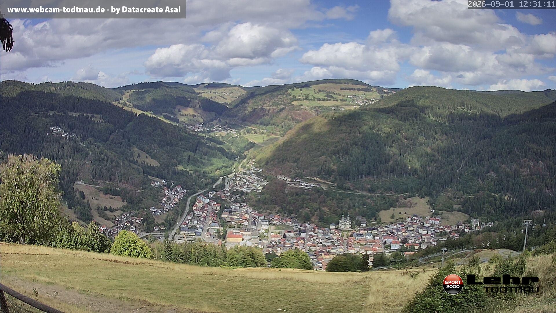 Archiv Foto Webcam Todtnau: Rodelbahn Hasenhorn
