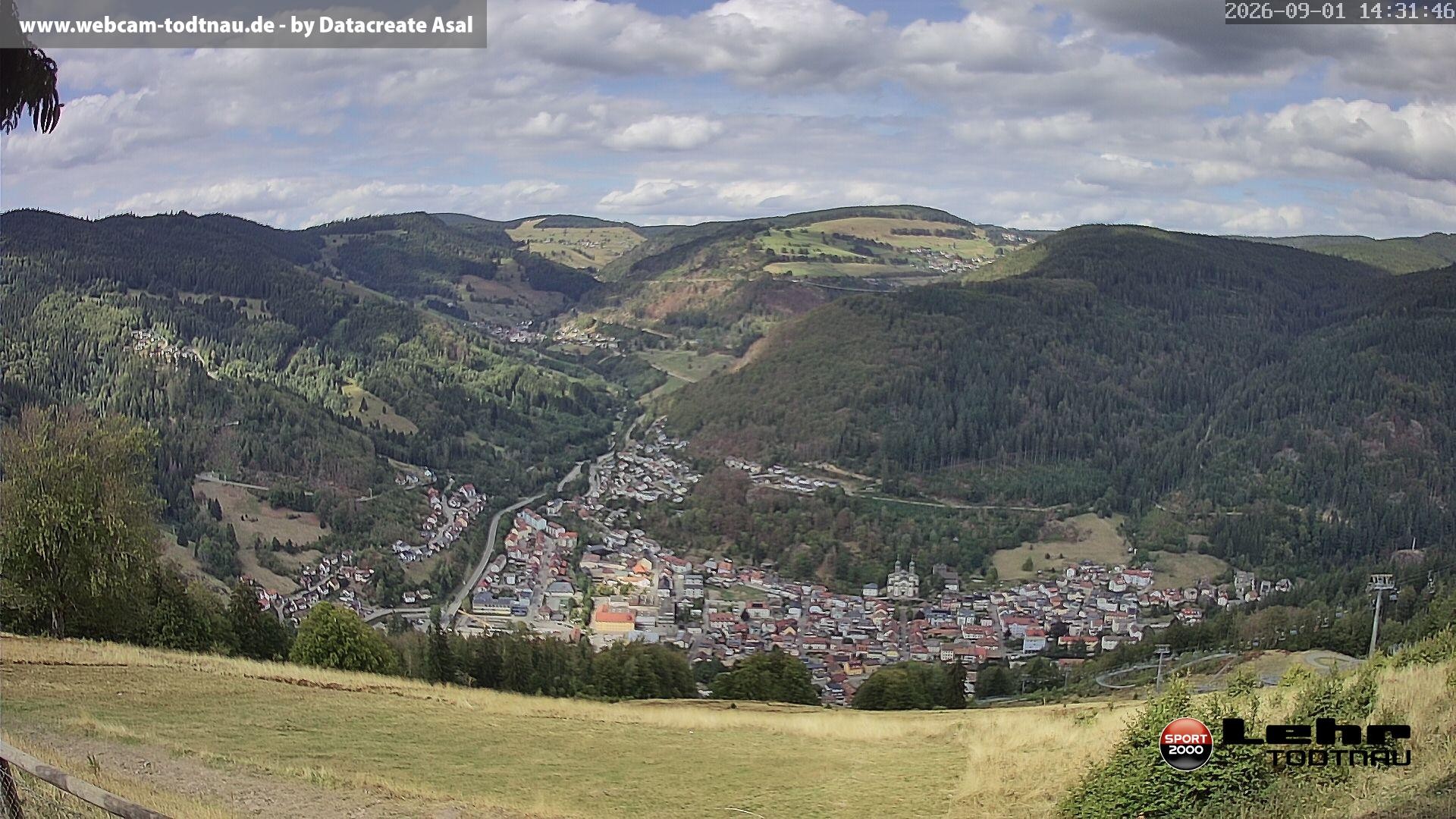 Archiv Foto Webcam Todtnau: Rodelbahn Hasenhorn