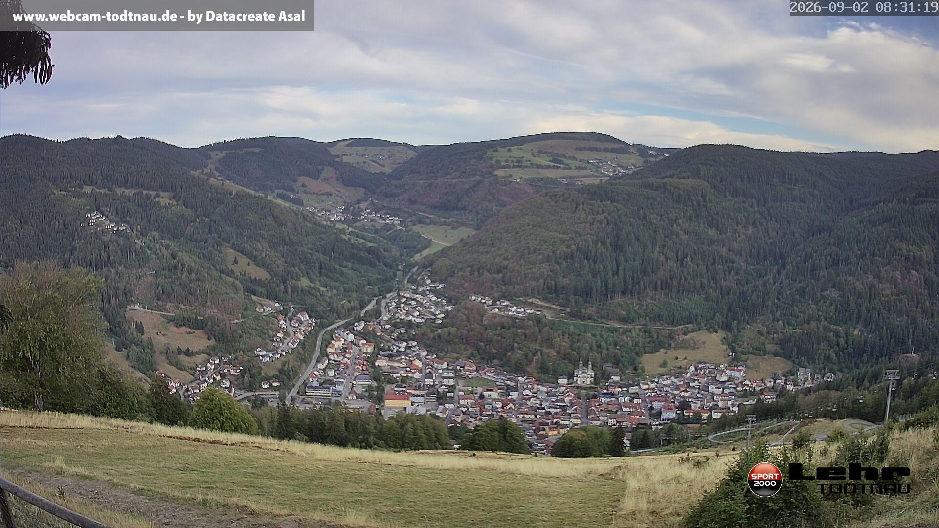 Archiv Foto Webcam Todtnau: Rodelbahn Hasenhorn