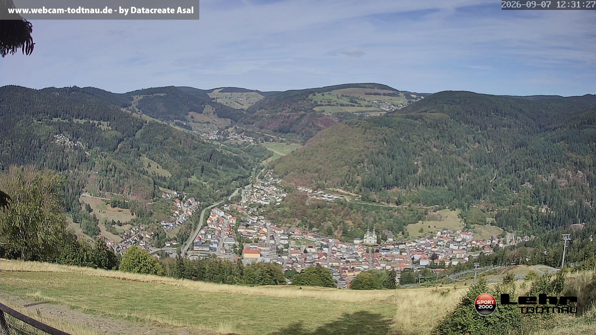 Archiv Foto Webcam Todtnau: Rodelbahn Hasenhorn