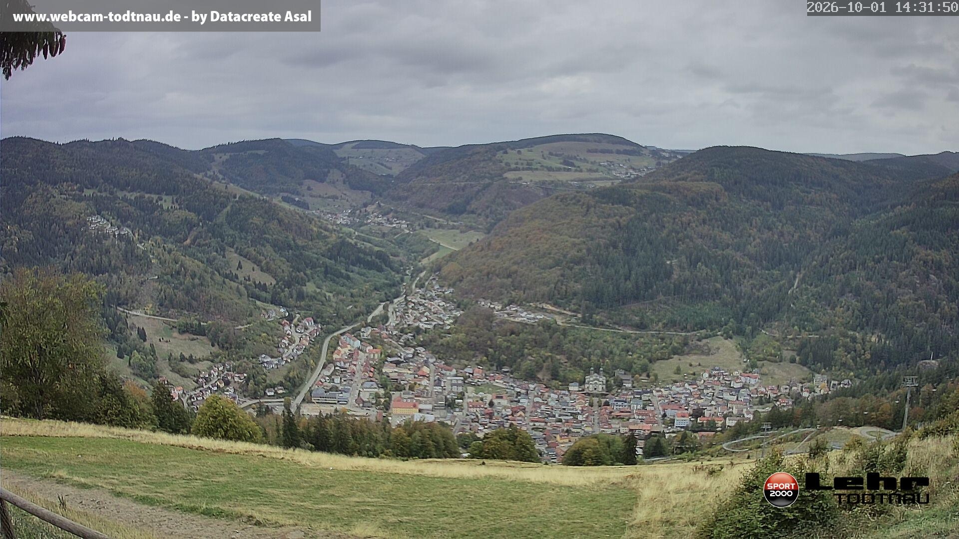 Archiv Foto Webcam Todtnau: Rodelbahn Hasenhorn