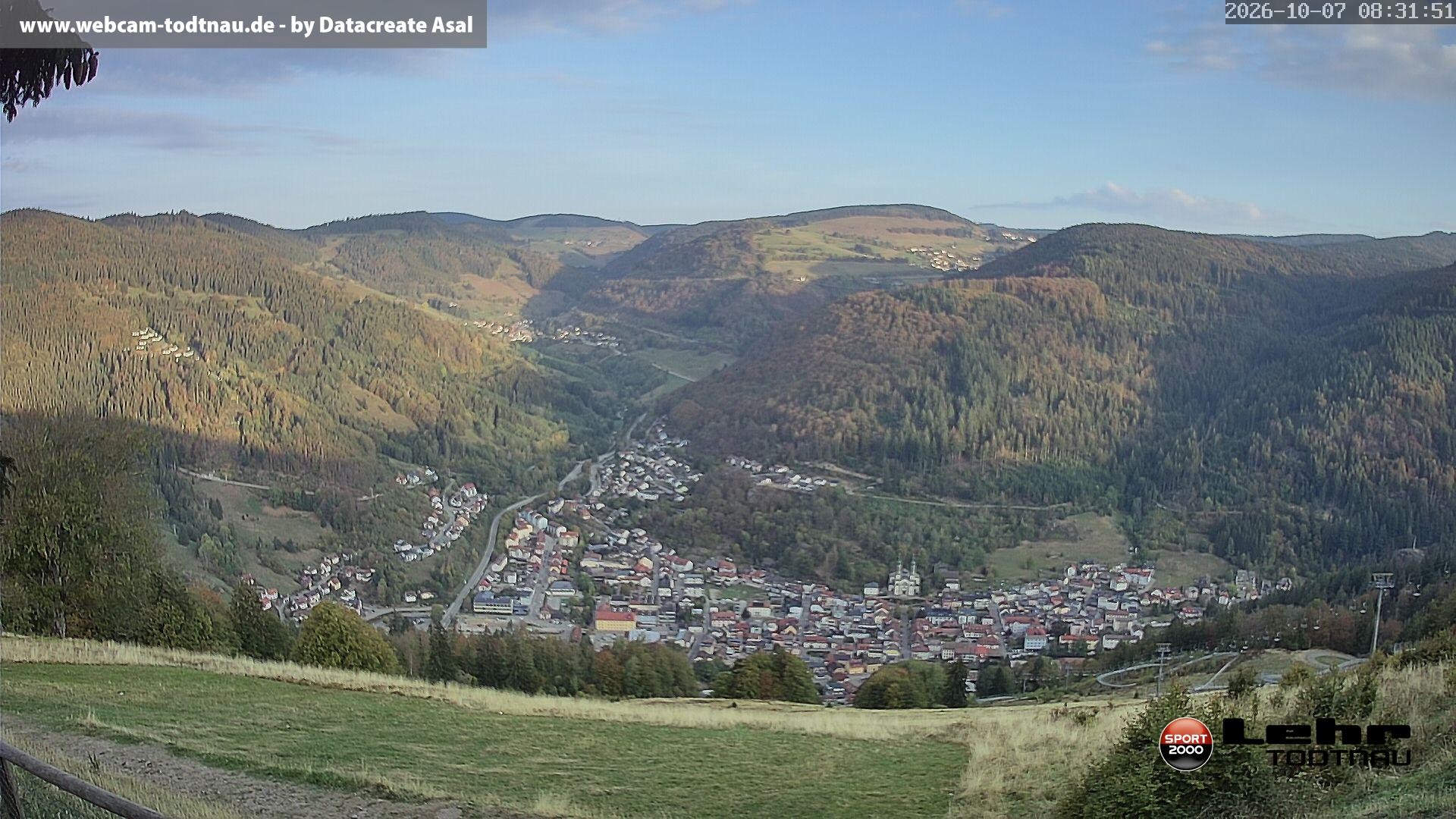 Archiv Foto Webcam Todtnau: Rodelbahn Hasenhorn