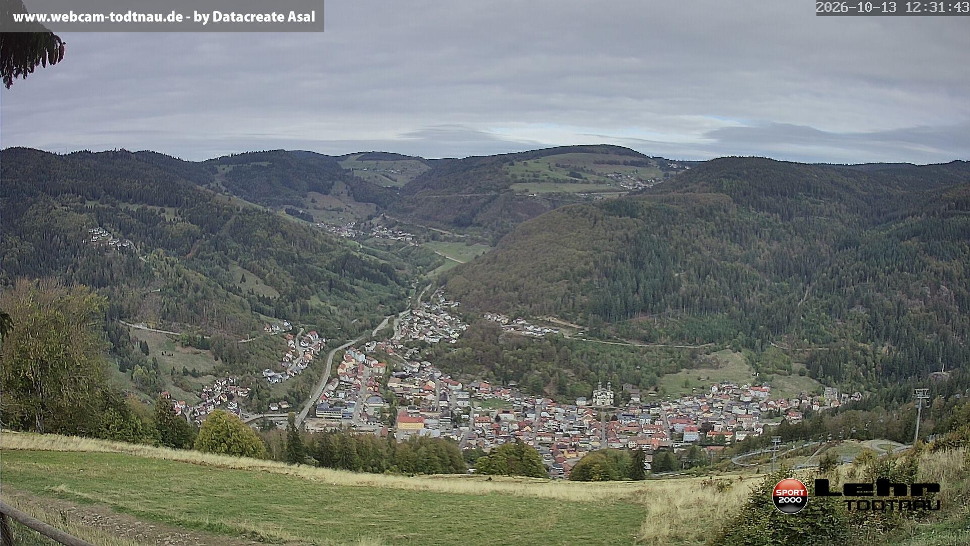 Archiv Foto Webcam Todtnau: Rodelbahn Hasenhorn
