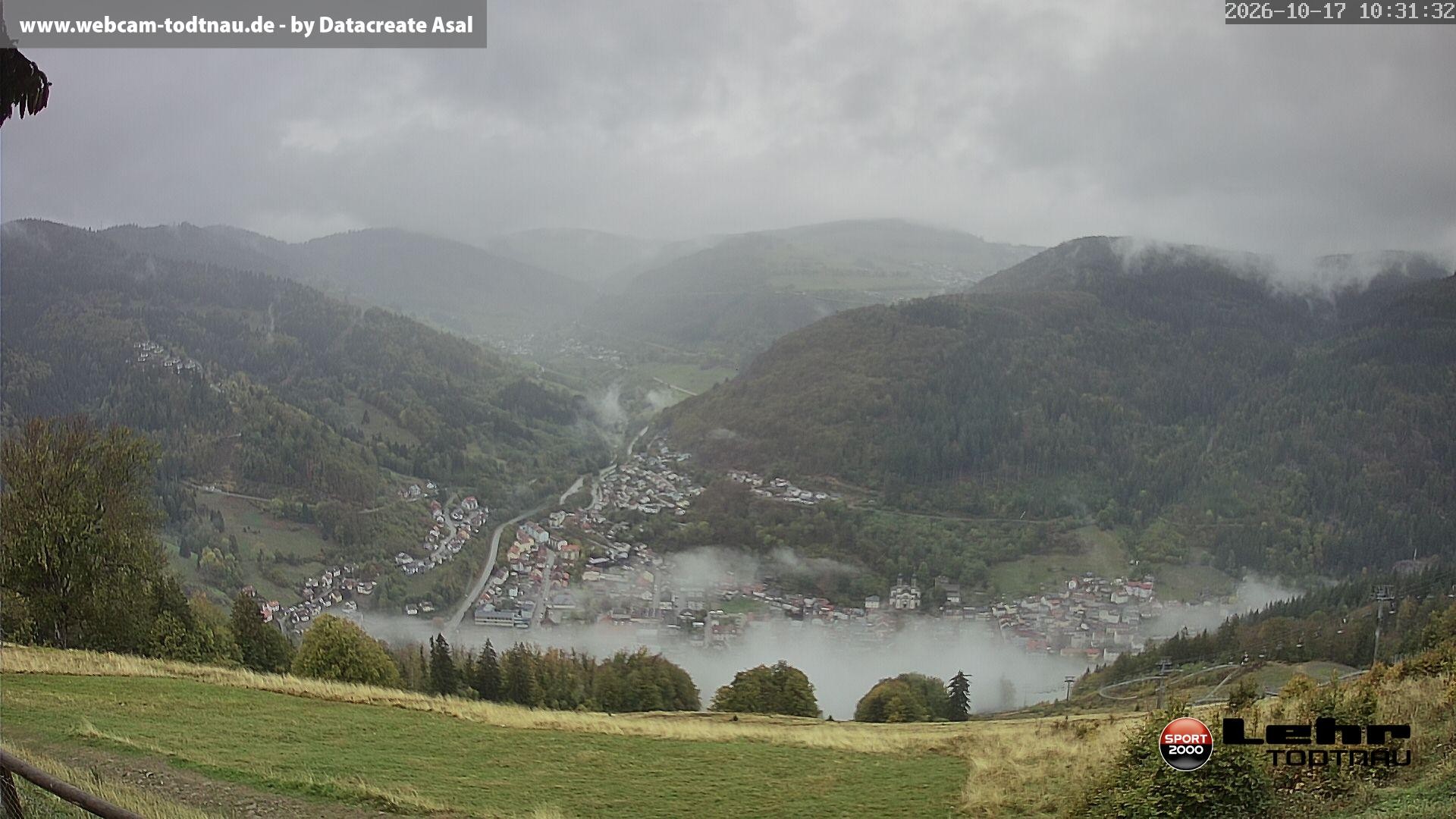 Archiv Foto Webcam Todtnau: Rodelbahn Hasenhorn