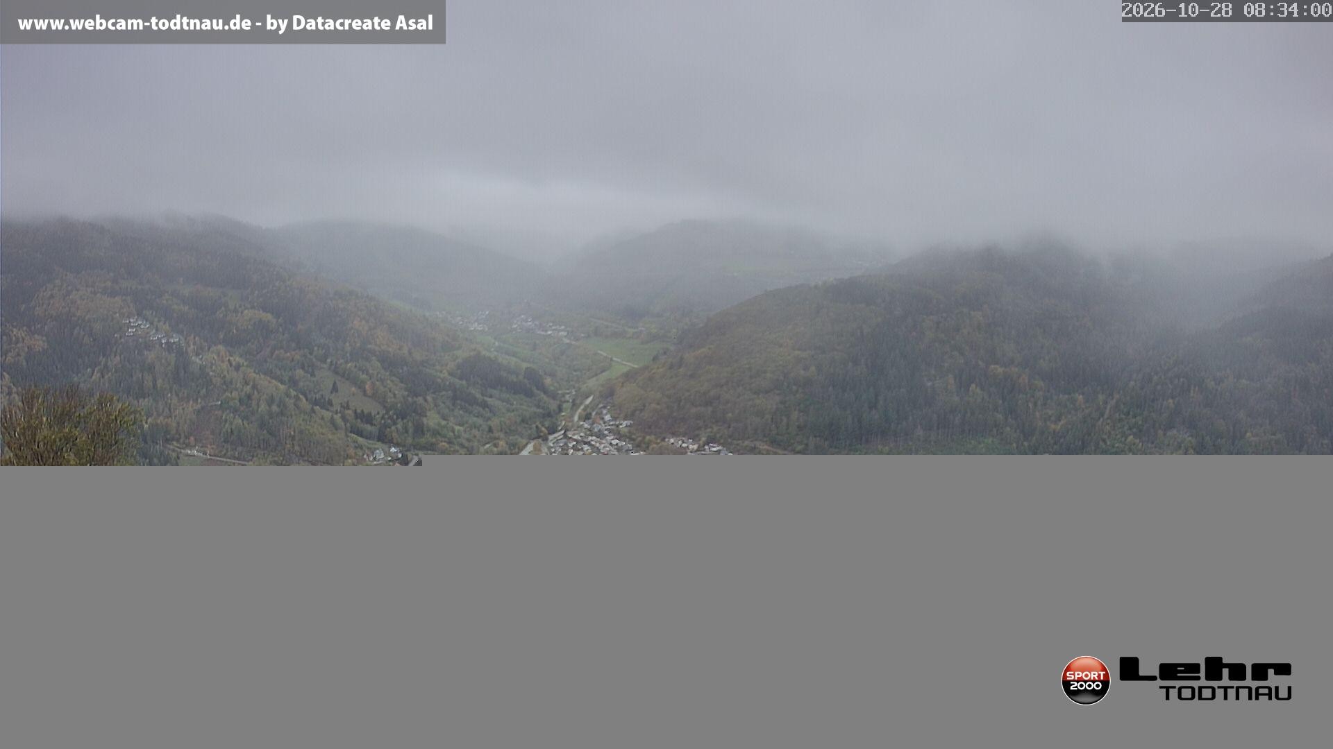 Archiv Foto Webcam Todtnau: Rodelbahn Hasenhorn
