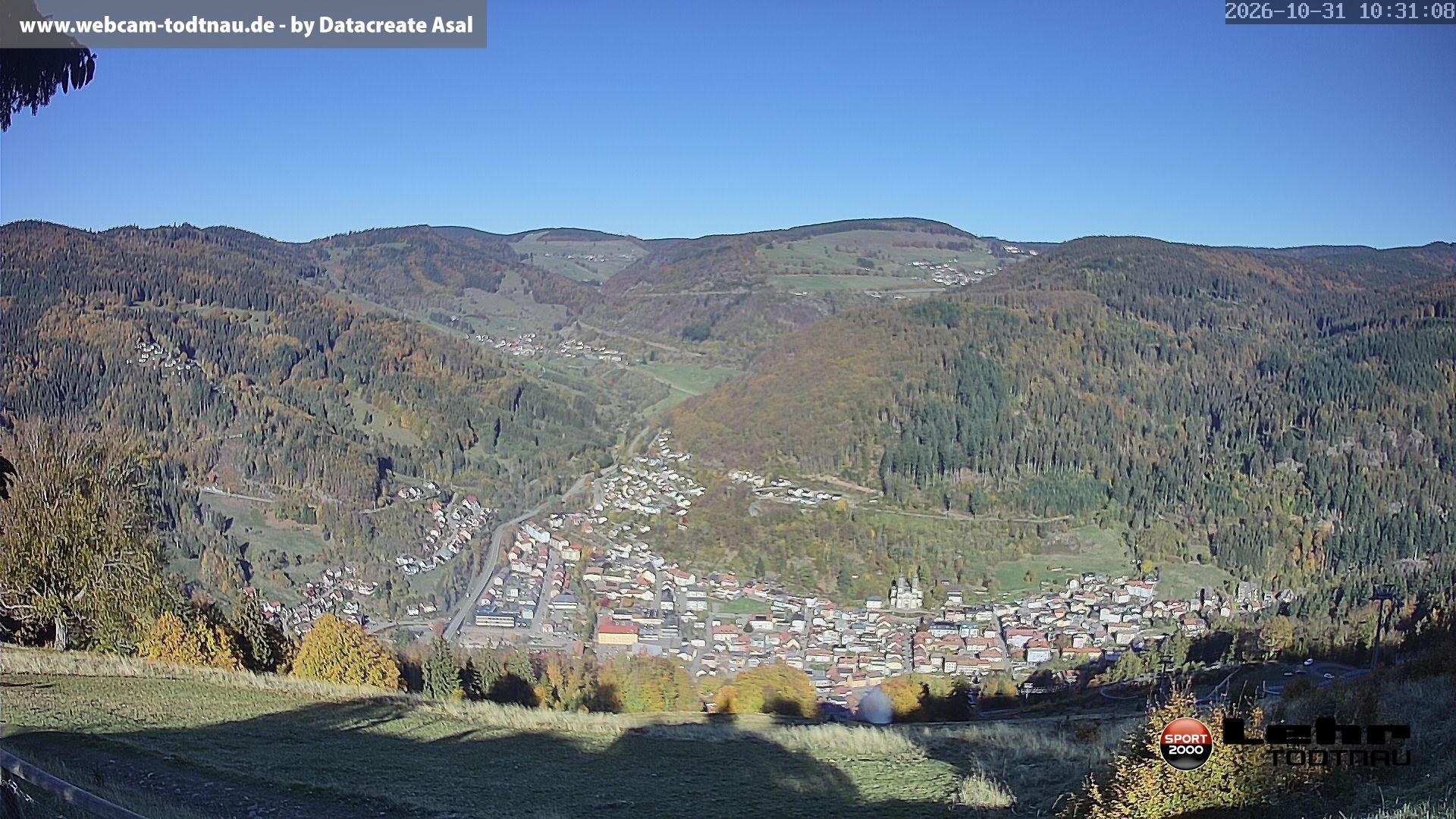 Archiv Foto Webcam Todtnau: Rodelbahn Hasenhorn