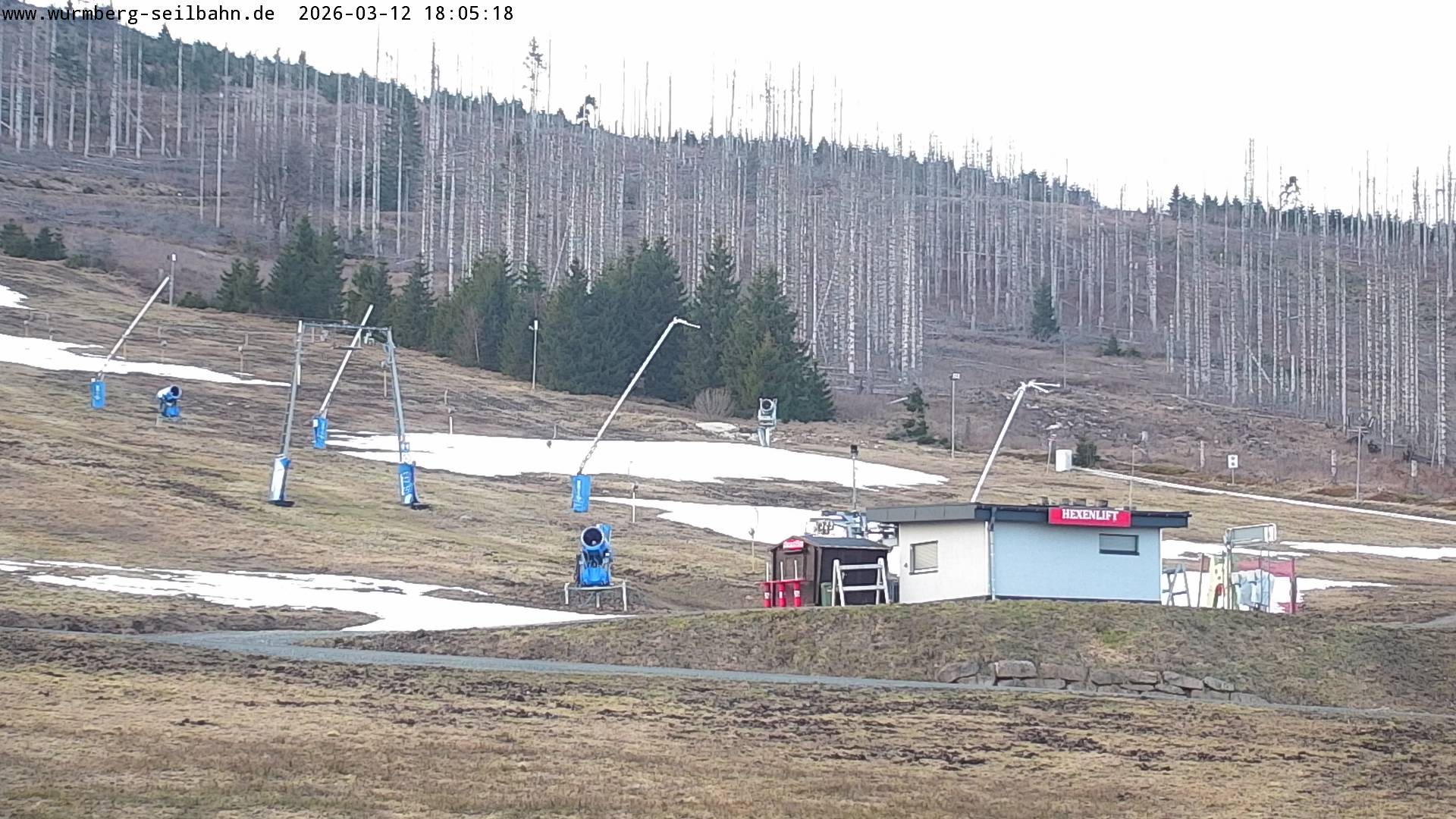 Archiv Foto Webcam Hexenritt-Alm am Wurmberg