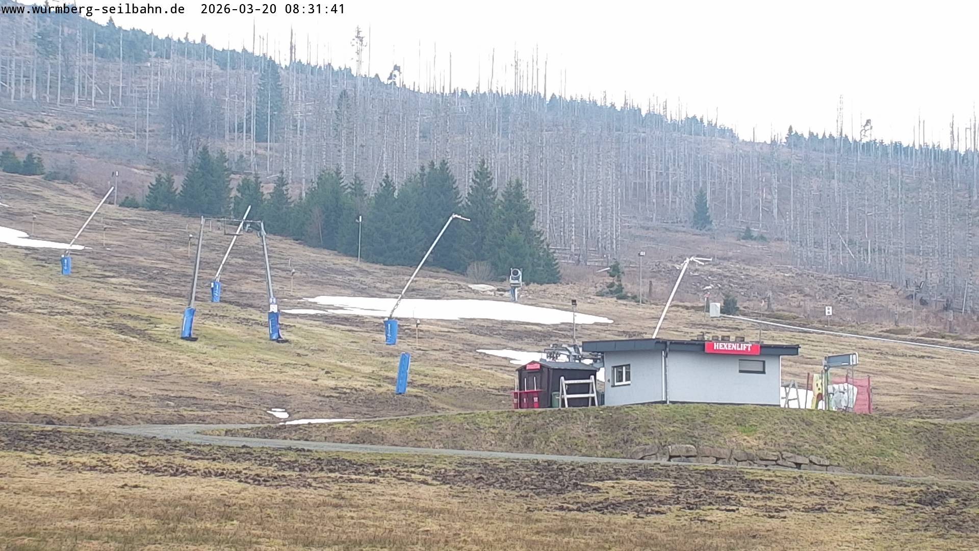 Archiv Foto Webcam Hexenritt-Alm am Wurmberg