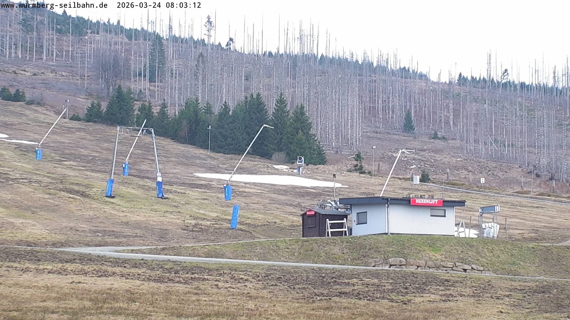 Archiv Foto Webcam Hexenritt-Alm am Wurmberg