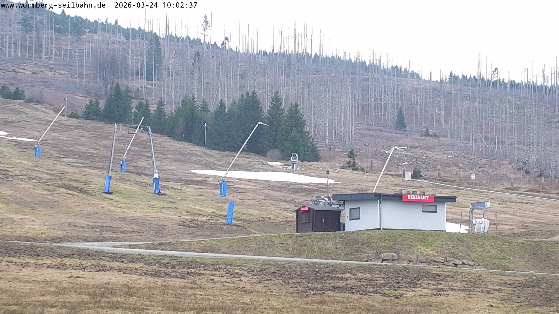 Archiv Foto Webcam Hexenritt-Alm am Wurmberg