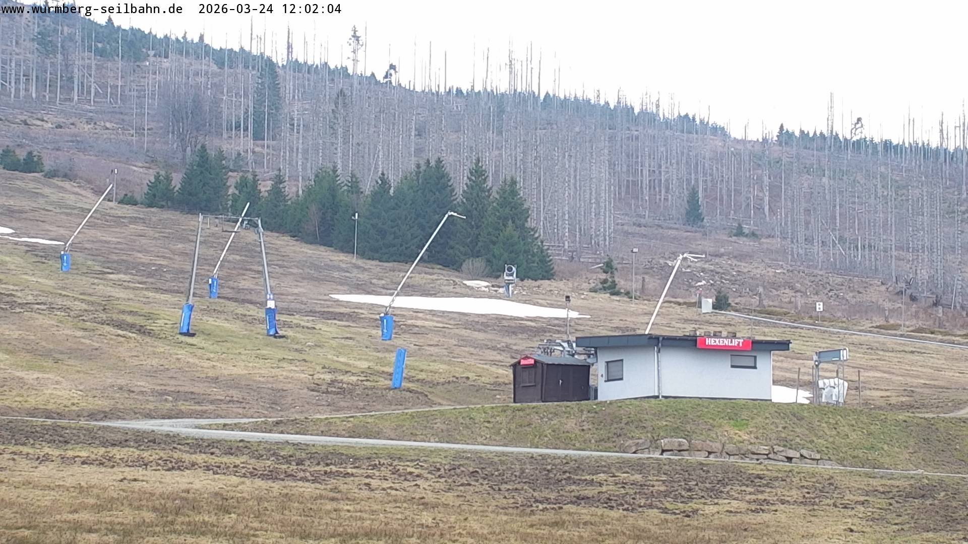 Archiv Foto Webcam Hexenritt-Alm am Wurmberg