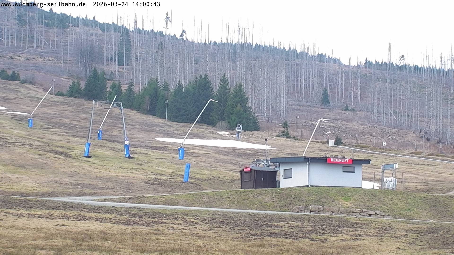 Archiv Foto Webcam Hexenritt-Alm am Wurmberg