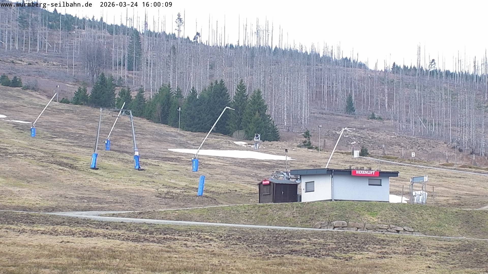 Archiv Foto Webcam Hexenritt-Alm am Wurmberg