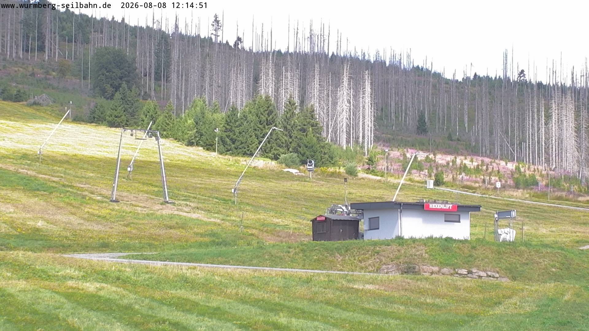 Archiv Foto Webcam Hexenritt-Alm am Wurmberg