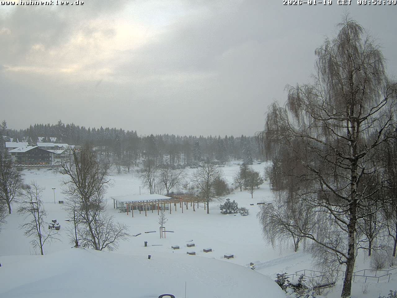Archiv Foto Webcam Hahnenklee: Kurpark