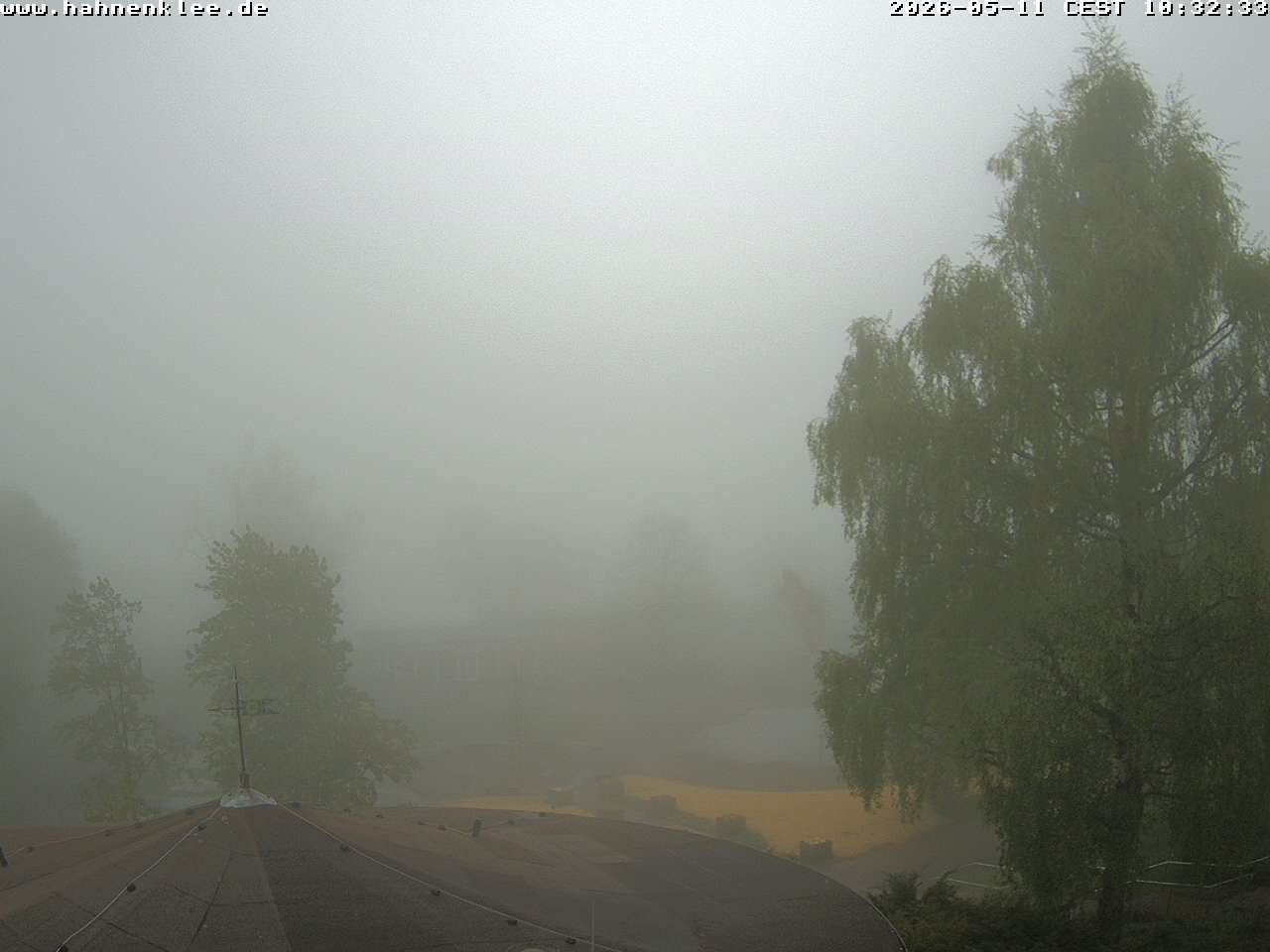Archiv Foto Webcam Hahnenklee: Kurpark
