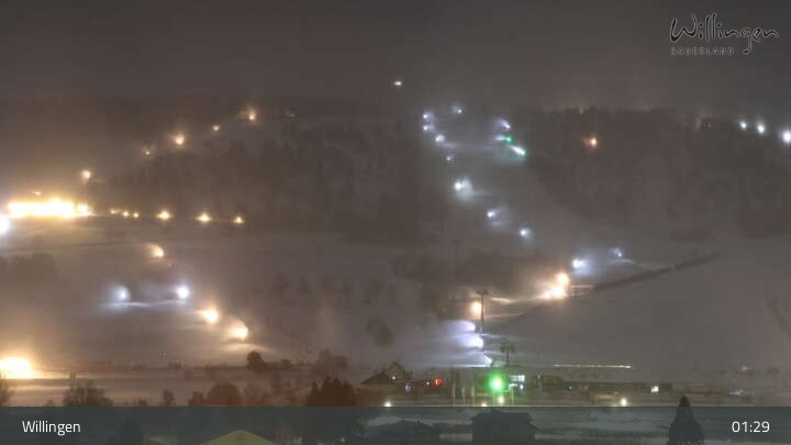 Archiv Foto Webcam Willingen: Panorama