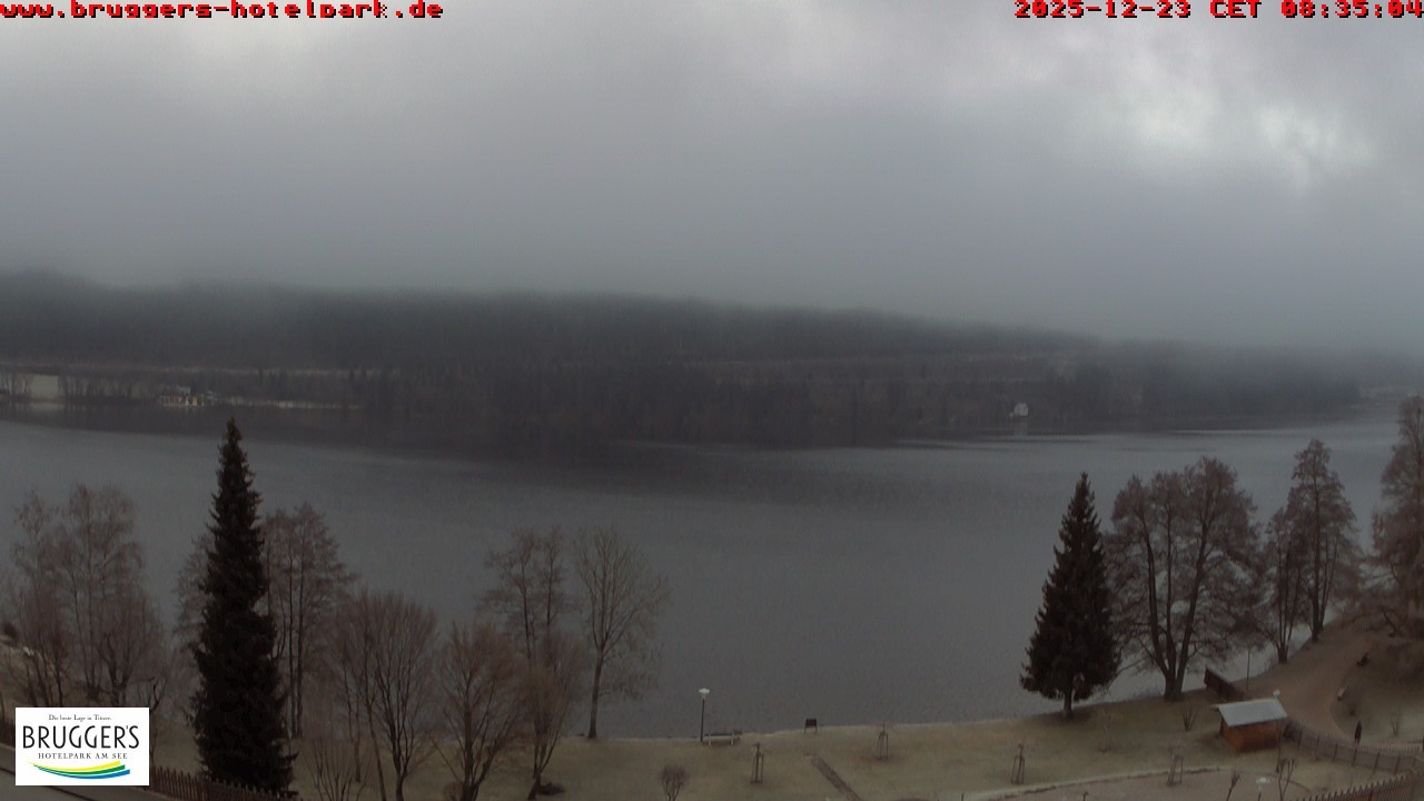 Archiv Foto Webcam Titisee im Schwarzwald