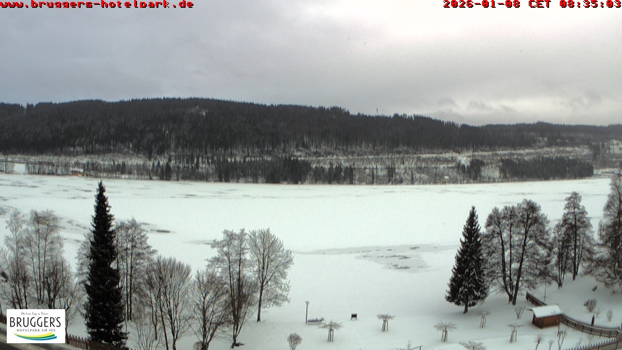 Archiv Foto Webcam Titisee im Schwarzwald