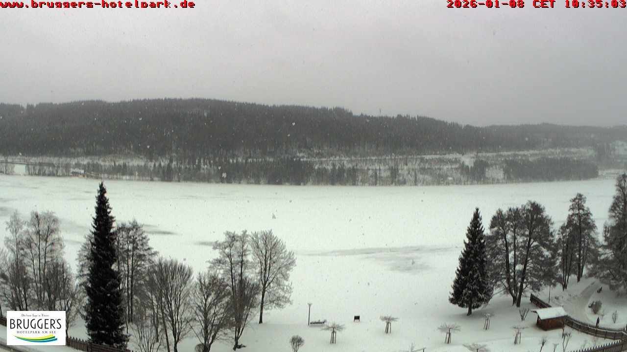 Archiv Foto Webcam Titisee im Schwarzwald