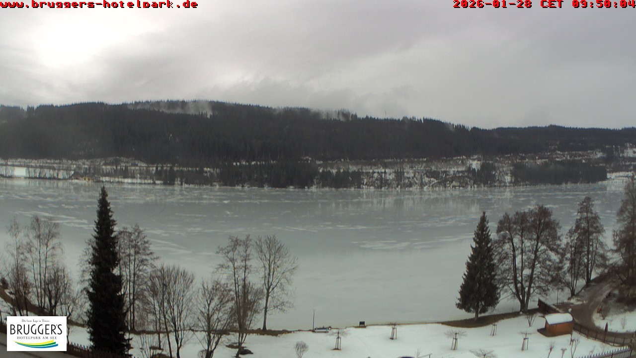 Archiv Foto Webcam Titisee im Schwarzwald