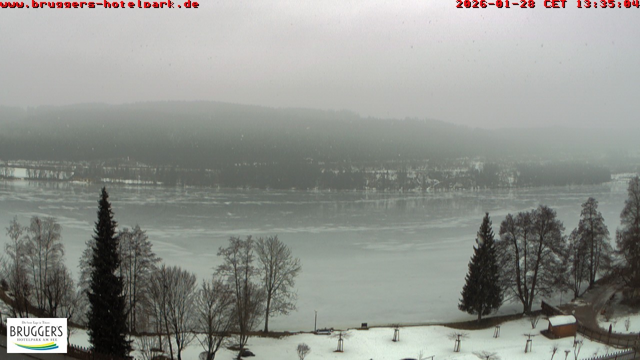 Archiv Foto Webcam Titisee im Schwarzwald