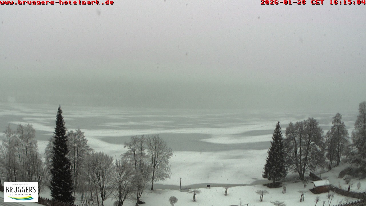 Archiv Foto Webcam Titisee im Schwarzwald