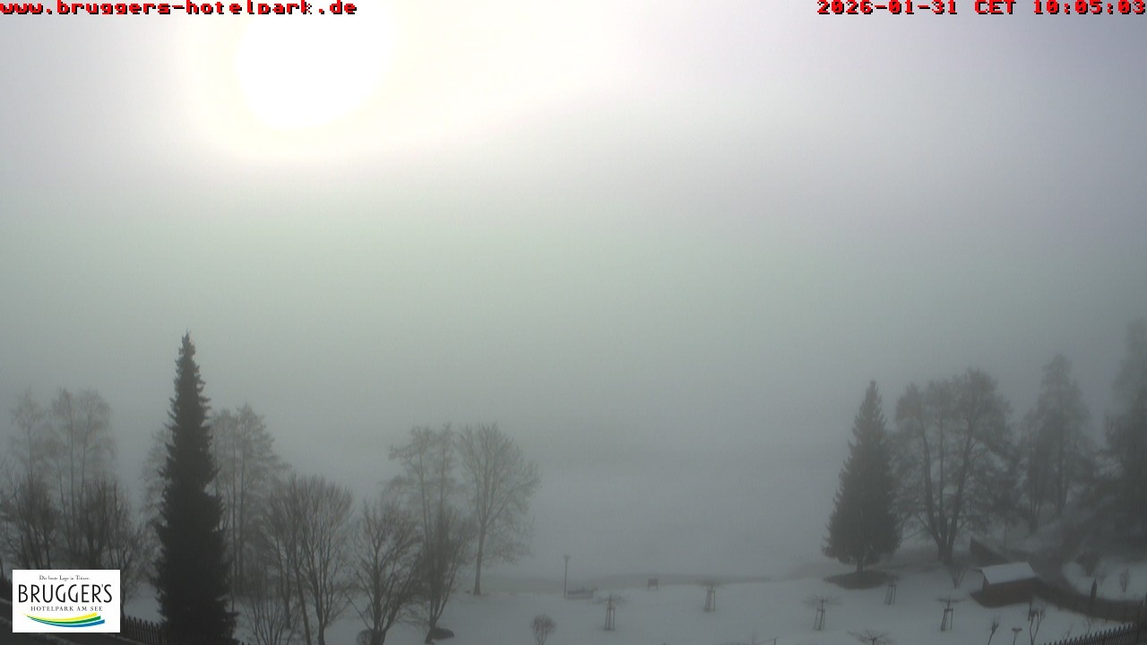 Archiv Foto Webcam Titisee im Schwarzwald