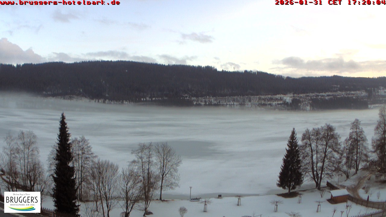 Archiv Foto Webcam Titisee im Schwarzwald