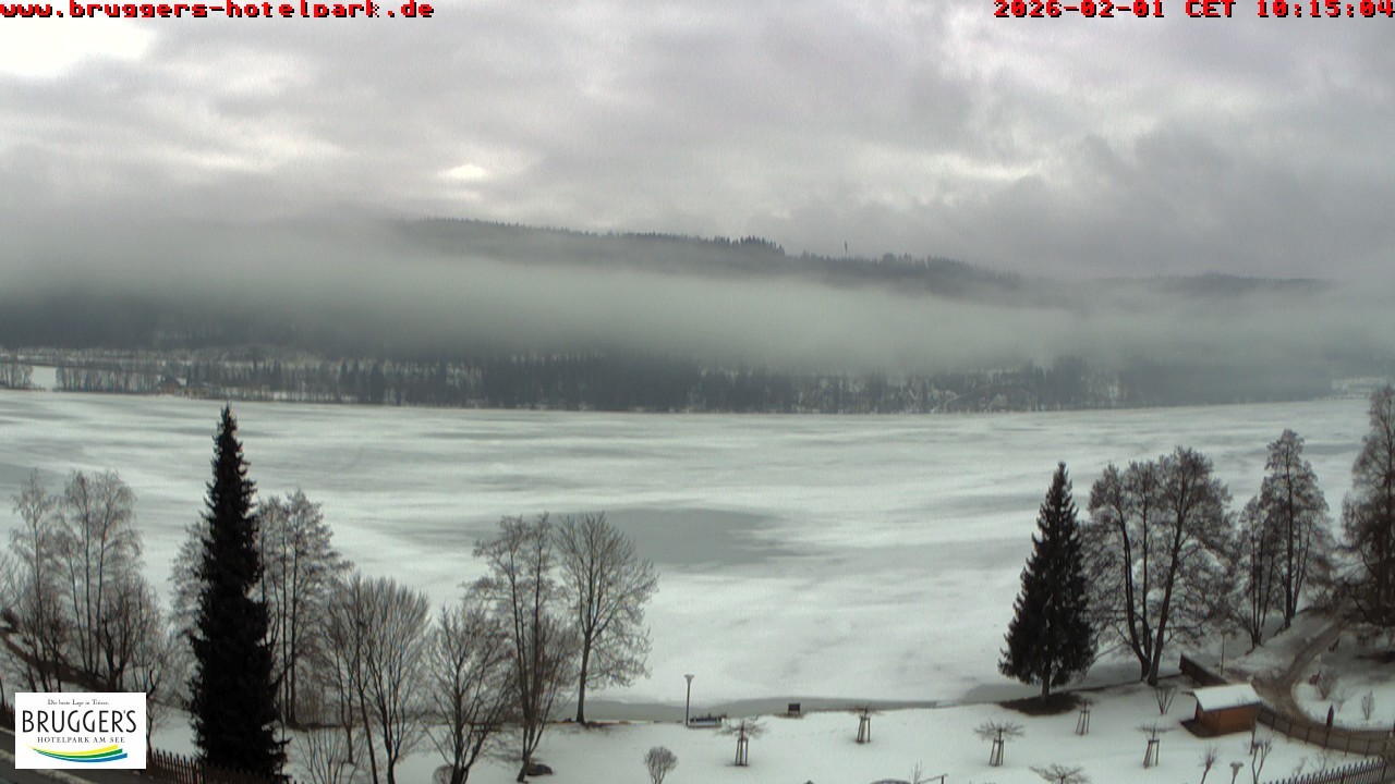 Archiv Foto Webcam Titisee im Schwarzwald