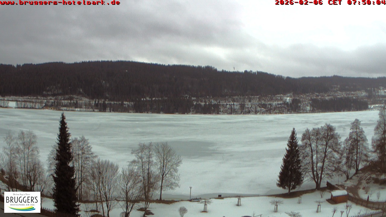 Archiv Foto Webcam Titisee im Schwarzwald