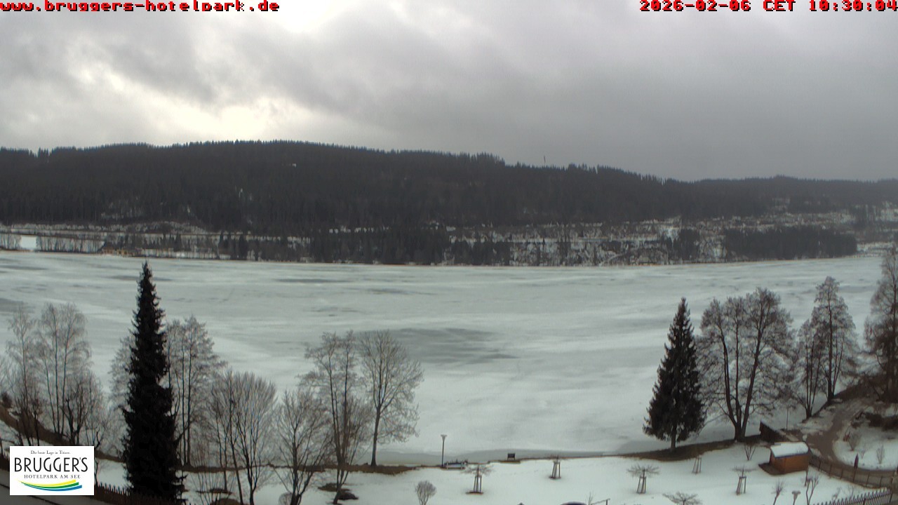 Archiv Foto Webcam Titisee im Schwarzwald